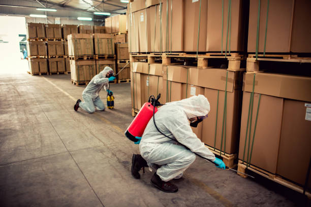 Trusted Washington Heights, NY Pest Control Experts