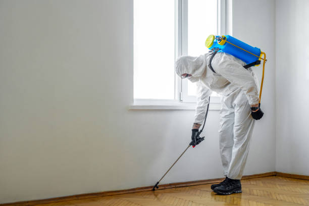 Best Commercial Pest Control Services  in Washington Heights, NY