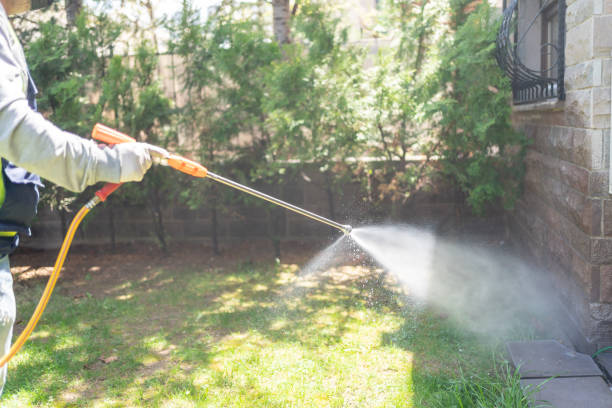 Best Pest Removal Services  in Washington Heights, NY