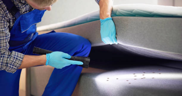 Best Residential Pest Control  in Washington Heights, NY