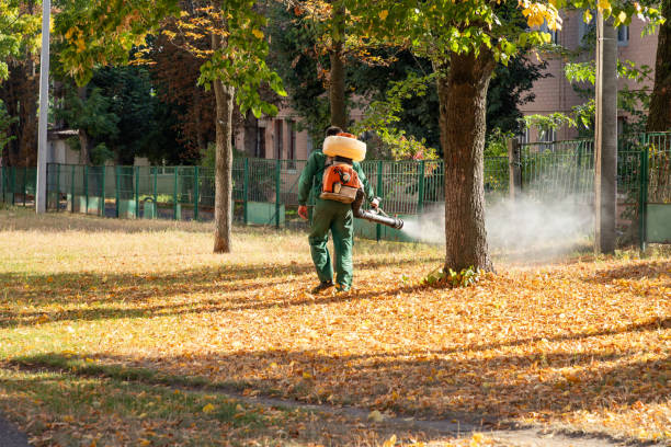 Best Insect Control  in Washington Heights, NY